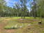 Photo 11 of 25 : 725 Yellow Brick Road
