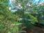 Photo 20 of 25 : 1600 Long Grove Drive, #1126