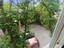 Photo 19 of 21 : 8 Pitt Street, #Apt B