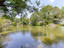 Photo 4 of 25 : 1264 Center Lake Drive
