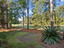 Photo 6 of 25 : 4412 Wild Thicket Lane