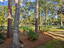Photo 7 of 25 : 4412 Wild Thicket Lane