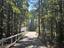 Photo 2 of 25 : 121 Scotts Pond Trail