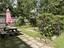 Photo 20 of 25 : 8573 Waccamaw Court