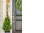 Photo 4 of 25 : 7058 Pumpkinseed Drive