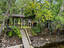 Photo 7 of 25 : 7884 Peirce Road