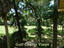 Photo 10 of 24 : 333 Sea Cloud Circle, #Share G