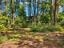 Photo 6 of 6 : 264 Dorchester Manor Boulevard