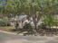 Photo 4 of 25 : 1186 Redbud Court