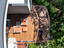 Photo 4 of 25 : 2824 Dove Nest Court