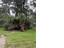 Photo 10 of 11 : 104 Bonneau Court