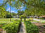 Photo 9 of 25 : 5106 Parkside Drive