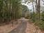 Photo 16 of 25 : 1905 Bristle Pine Court