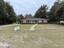 Photo 2 of 25 : 1125 4th Avenue