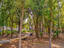 Photo 25 of 25 : 500 Bucksley Lane, #Unit 104