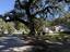 Photo 24 of 25 : 2663 Olympia Avenue