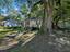 Photo 3 of 25 : 2663 Olympia Avenue