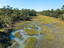Photo 3 of 25 : 2349 Cat Tail Pond Road