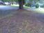 Photo 14 of 14 : 1206 Hawthorne Road