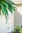 Photo 7 of 25 : 1222 Spotflower Street