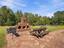 Photo 11 of 25 : 210 Knotty Oak Drive