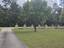 Photo 3 of 25 : 177 Stumphole Road