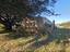 Photo 4 of 25 : 177 Stumphole Road