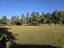 Photo 6 of 25 : 177 Stumphole Road