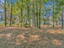 Photo 13 of 14 : 6241 Rolling Fork Road, #B