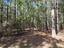 Photo 25 of 25 : 1552 Winding Pond Road