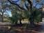 Photo 5 of 25 : 7686 Legare Road