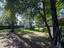 Photo 14 of 25 : 8960 Red Maple Circle
